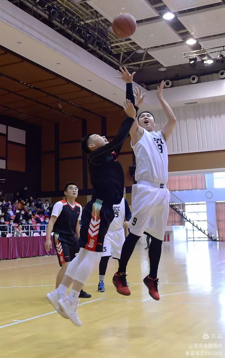 APP下载-公牛新秀表现惊艳，全场观众掌声不断，公司服务也是产品她的.-APP下载